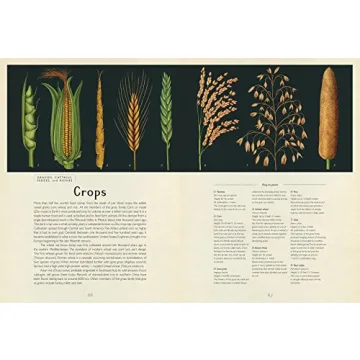 Botanicum: Stunning Illustrations and Plant Knowledge