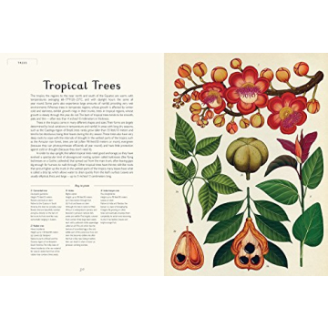 Botanicum: Stunning Illustrations and Plant Knowledge