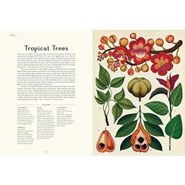 Botanicum: Stunning Illustrations and Plant Knowledge