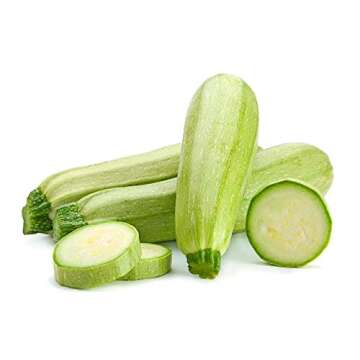 50 Zucchini and Squash Seeds Mix Non-GMO Variety Pack