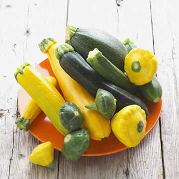 50 Zucchini and Squash Seeds Mix Non-GMO Variety Pack