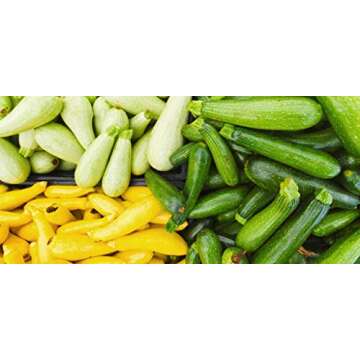 50 Zucchini and Squash Seeds Mix Non-GMO Variety Pack