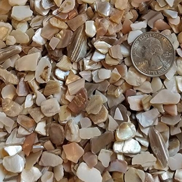 BeachWalk Small Iridescent Crushed Shells for Crafting