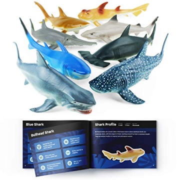 Boley Shark Toys - 8 Pack 10" Long Soft Plastic Realistic Shark Toy Set - Toddler Sensory Toys and B...