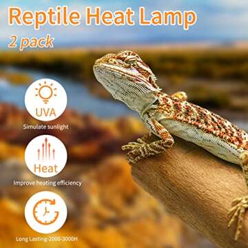 REPTI HOME New Upgrade Reptile Heat Lamp Bulb (3rd Gen No Broken), 75W 2 Pack Basking Spot Light for Reptiles & Amphibians,UVA Daylight Heat Bulb for Bearded Dragon, Turtle