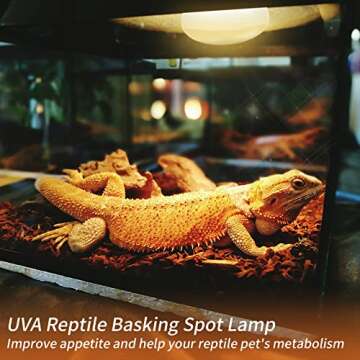 REPTI HOME New Upgrade Reptile Heat Lamp Bulb (3rd Gen No Broken), 75W 2 Pack Basking Spot Light for Reptiles & Amphibians,UVA Daylight Heat Bulb for Bearded Dragon, Turtle
