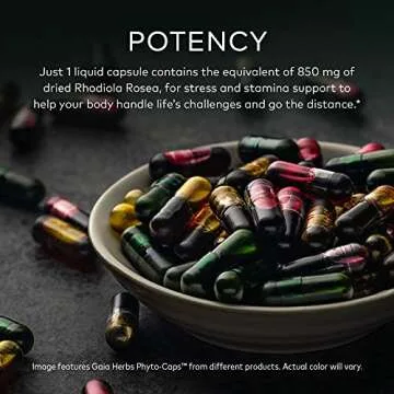 Gaia Herbs Rhodiola Rosea Vegan Capsules - Adaptogenic Stress Support, 120 Count