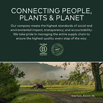 Gaia Herbs Rhodiola Rosea Vegan Capsules for Stress Support