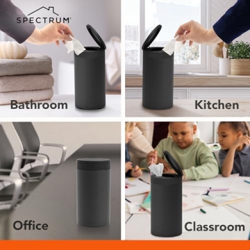 Spectrum Rust-Resistant Disinfecting Wipes Dispenser