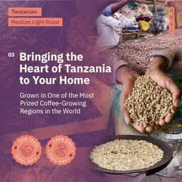 Tanzanian Peaberry Coffee - Freshly Roasted Medium Light Roast