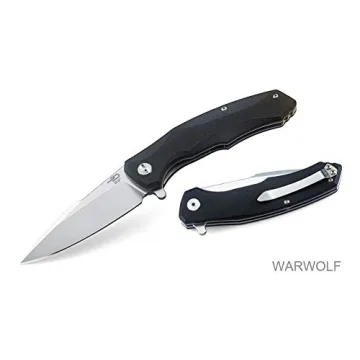 Bestech Knife BG04A Folder: EDC Essential with G10 Handle