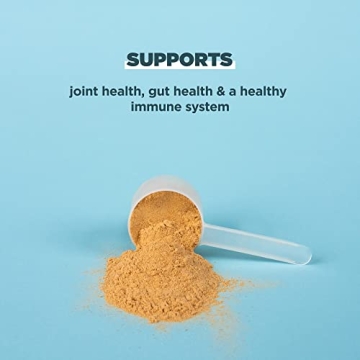 Chocolate Bone Broth Protein Powder - 20g Protein