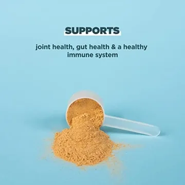 Chocolate Bone Broth Protein Powder - 20g Protein