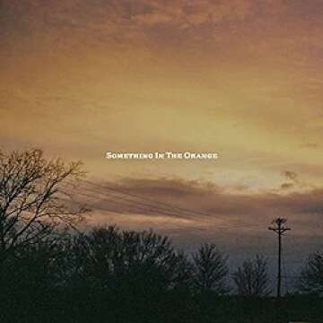 Something in the Orange: A Must-Read Thriller