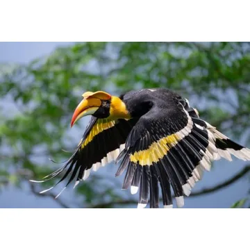 Nikon NIKKOR Z 600mm f6.3 VR S Lens for Wildlife Photography