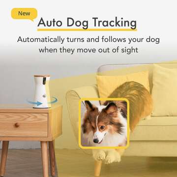 Wide-Angle Pet Camera for Home Monitoring