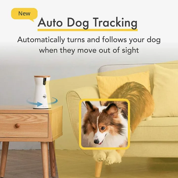 Wide-Angle Pet Camera for Home Monitoring