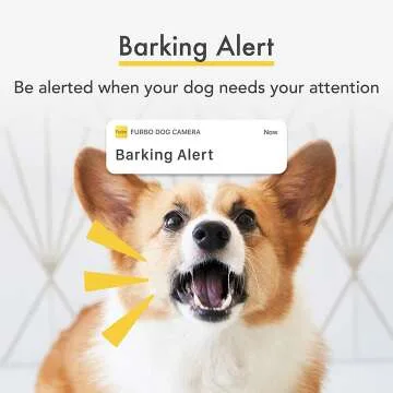 Wide-Angle Pet Camera for Home Monitoring