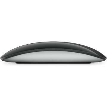 Apple Magic Mouse - Wireless & Rechargeable for Mac/iPad