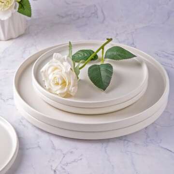AmorArc Stoneware Dinner Plates Set of 4, 10.5 Inch Reactive Matte Glaze Ceramic Plates Set, Modern ...