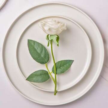 AmorArc Stoneware Dinner Plates Set of 4, 10.5 Inch Reactive Matte Glaze Ceramic Plates Set, Modern Dinnerware Dish set for Kitchen, Microwave, Dishwasher Safe, Scratch Resistant - Matte White