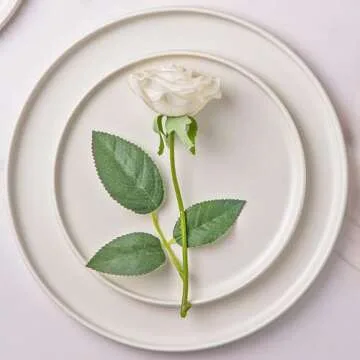 AmorArc Stoneware Dinner Plates Set of 4, 10.5 Inch Reactive Matte Glaze Ceramic Plates Set, Modern Dinnerware Dish set for Kitchen, Microwave, Dishwasher Safe, Scratch Resistant - Matte White