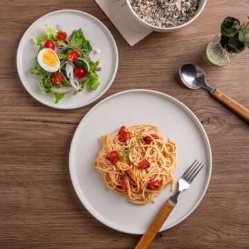 AmorArc Stoneware Dinner Plates Set of 4, 10.5 Inch Reactive Matte Glaze Ceramic Plates Set, Modern Dinnerware Dish set for Kitchen, Microwave, Dishwasher Safe, Scratch Resistant - Matte White