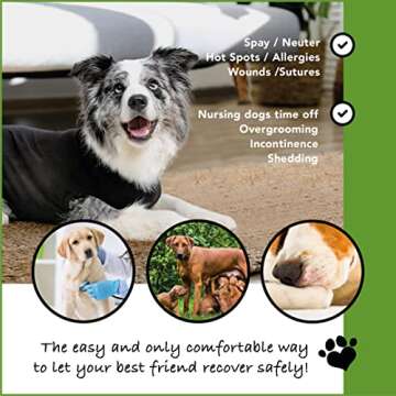 Suitical Recovery Suit for Dogs - Dog Surgery Recovery Suit with Clip-Up System - Breathable Fabric ...