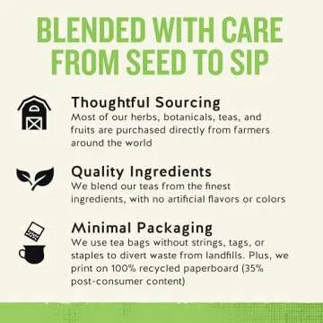 Celestial Seasonings Sleepytime Detox Herbal Tea 20 Bags