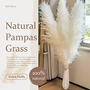 Natural Pampas Grass Extra Fluffy Plumes 43" 110cm