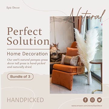 Natural Pampas Grass Extra Fluffy Plumes 43" 110cm