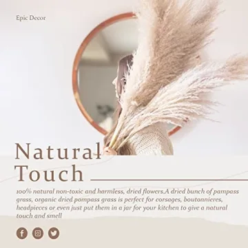 Natural Pampas Grass Extra Fluffy Plumes 43" 110cm