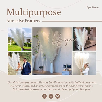 Natural Pampas Grass Extra Fluffy Plumes 43" 110cm