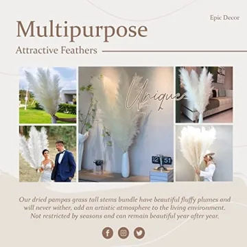 Natural Pampas Grass Extra Fluffy Plumes 43" 110cm