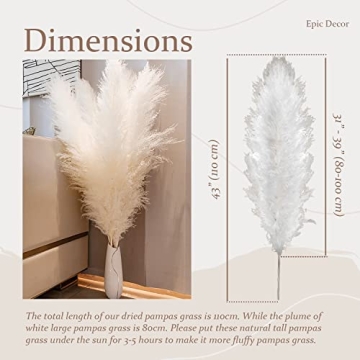 Natural Pampas Grass Extra Fluffy Plumes 43" 110cm