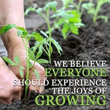 6 Varieties Non-GMO Heirloom Organic Cherry Tomato Seeds – Yellow Pear Tomato Seeds, Black Cherry Seeds, Roma Tomato Seeds Organic, Rainbow Cherry Tomatoes, Green Zebra Tomato Seeds, Chadwick Cherry