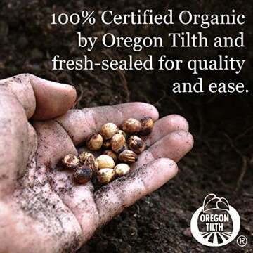 6 Varieties Non-GMO Heirloom Organic Cherry Tomato Seeds – Yellow Pear Tomato Seeds, Black Cherry Seeds, Roma Tomato Seeds Organic, Rainbow Cherry Tomatoes, Green Zebra Tomato Seeds, Chadwick Cherry