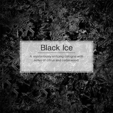 LITTLE TREES Air Fresheners Long Lasting Scents for All