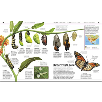 DK Knowledge Encyclopedia Updated Edition World Exploration Book