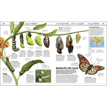 DK Knowledge Encyclopedia Updated Edition World Exploration Book