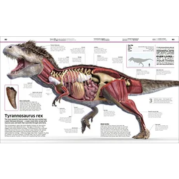 DK Knowledge Encyclopedia Updated Edition World Exploration Book