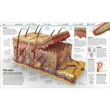 DK Knowledge Encyclopedia Updated Edition World Exploration Book