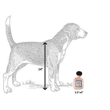 Dog Diggin Designs Runway Pup Plush Toy for Small Dogs