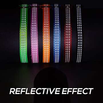 Reflective Breakaway Cat Collars - Safe & Stylish Pack