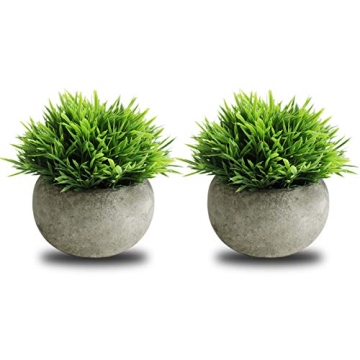 THE BLOOM TIMES 2 Pcs Small Fake Plants for Home Decor Indoor, Artificial Faux Potted Greenery for H...