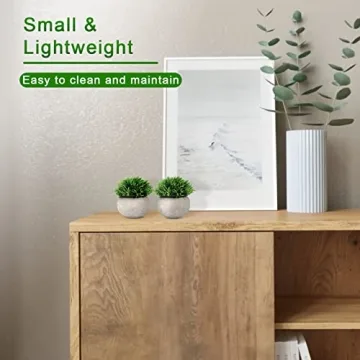 Stylish Small Faux Potted Plants for Home and Office