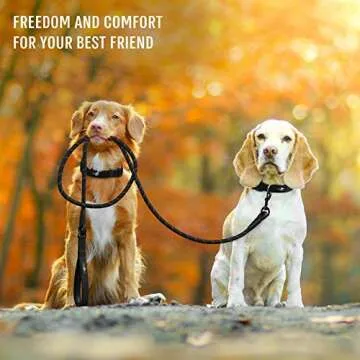 ACTIVE PETS Strong Dog Rope Leash with Soft Comfortable Padded Handle and Highly Reflective Threads, Dog Leash for Small Medium and Large Dogs, Puppy Leash for Training Running and Walking Black