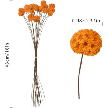 Phliofd 72 PCS Dried Craspedia Billy Balls Flowers, 18” Natural Dried Flowers Bouquet for Vase Floral Arrangements Wedding Table Centerpieces Party DIY Home Decor (Orange)