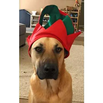 Funiverse 12 Pack Adult Christmas Elf Hats with Jingle Bells