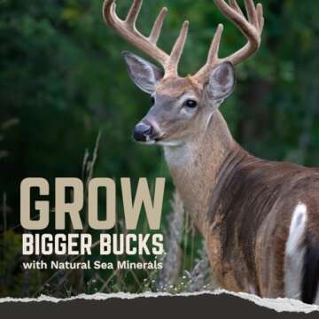 TROPHY ROCK Redmond Liquid All Natural Deer Mineral & Deer Entice